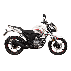 موتور سیکلت دلتا CTR 160CC